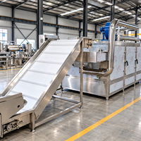 Industriële continue gaasbanddroger 10 ton per dag automatische fruit- en groentedroger voor boerderijen en voedselverwerkingsbedrijven