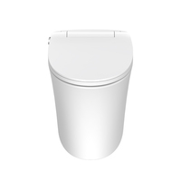 WC intelligent monobloc sans réservoir TA-568DF TEJJER moderne 220V de haute qualité