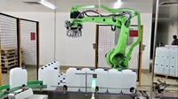 6Kg 10kg 30kg 50kg 100kg charge utile bras de robot industriel palettisation technologie robotique articulée pour le pick and place