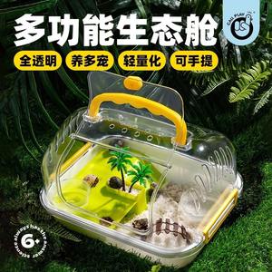 Kodak Conteneur écologique pour enfants, aquarium rectangulaire en plastique transparent pour l'observation de la croissance des crabes ermites et des tortues - Product Image 5