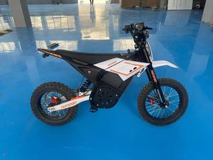 Eco-friendly Adults Cheap Motorcycle 60km/h High Speed with Lithium Battery Power Supply Racing Dirt Bike - Product Image 1