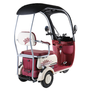 Motocicleta Eléctrica de Tres Ruedas Personalizable, Conveniente para la Ciudad, para Personas Mayores o con Discapacidad, con Capacidad para Tres Personas. - Product Image 6