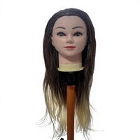 Tête de mannequin en cheveux synthétiques ombrés pour la pratique de la coiffure, tête de poupée pour la formation en coiffure pour les étudiants en cosmétologie