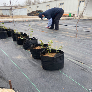 Tissu non tissé <span class=keywords><strong>de</strong></span> 10 gallons <span class=keywords><strong>de</strong></span> <span class=keywords><strong>culture</strong></span> biodégradable sans sol, <span class=keywords><strong>sac</strong></span> <span class=keywords><strong>de</strong></span> croissance <span class=keywords><strong>de</strong></span> plantes <span class=keywords><strong>en</strong></span> feutre <span class=keywords><strong>de</strong></span> fraise et <span class=keywords><strong>de</strong></span> champignon - Product Image 2