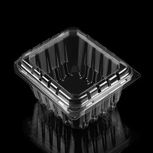 Envase biodegradable al por mayor, contenedor de almacenamiento de frutas y arándanos, cajas de plástico desechables para mascotas y frutas - Product Image 2