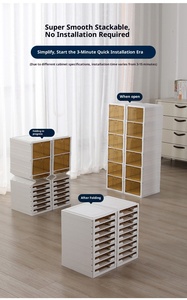 Mayi Box Portable Armoire En Plastique Placard Amovible Organizador De Zapatos Zapatero Placard Étagères Conceptions En Bois Antbox - Product Image 6