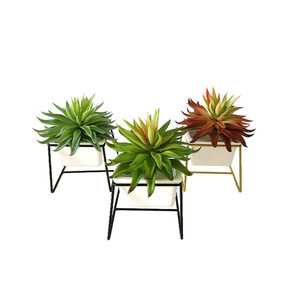 Plantes succulentes artificielles, feuilles de chrysanthème en colle souple simulée, succulentes, accessoires de photographie DIY, fleurs d'intérieur, bonsaï - Product Image 3