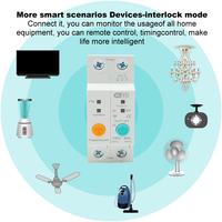 Compteur d'énergie intelligent Wi-Fi 1P 63A 230V 6kA certifié avec contrôle de tension et de courant à distance pour la surveillance de la consommation électrique