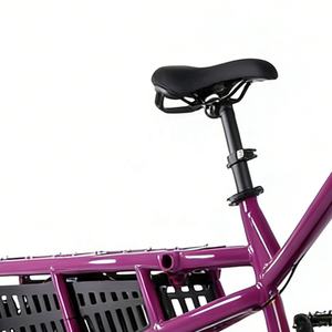 Potente Bicicleta Eléctrica de Carga Industrial DIY OEM con Cuadro de Aluminio, 9 Velocidades 11-38T, para Adultos - Product Image 6