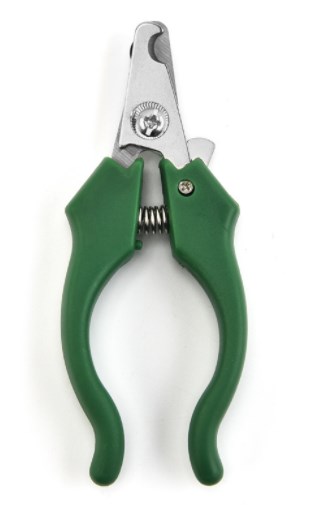 กองทัพสีเขียว