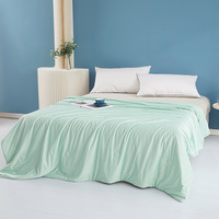 Nouvelle Couette Rafraîchissante Parfumée à la Crème Glacée Qualité A, Taille Double/Queen, pour Climatisation, Lavable en Machine, Couette d'Été Moderne