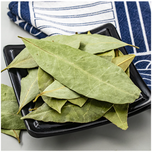 Feuille de <span class=keywords><strong>laurier</strong></span> en gros de qualité supérieure Feuilles de <span class=keywords><strong>laurier</strong></span> Épices culinaires gastronomiques naturelles en vrac Herbes Produits - Product Image 4