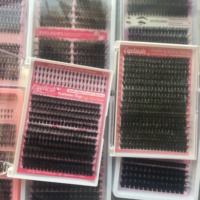 Extensions de cils en éventail pré-faites 5D en gros, cils en éventail fermés, pointes, pleine floraison, cils en volume 5D
