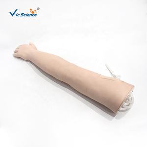 แบบจำลองแขนฝึกหัดฉีดยา (ไม่รวมชุด) แบบจำลองการฉีดยา แบบจำลองแขนฝึกเจาะเลือด ชุดฝึกปฏิบัติ - Product Image 2