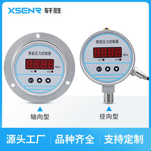 ตัวควบคุมแรงดันแบบแผงหน้าปัด Suzhou Xuansheng รุ่น YBK100ZT ขนาด 100 มม. พร้อมหน้าจอดิจิตอล สวิตช์เตือนภัย และเกจวัดความแม่นยำ - Product Image 2