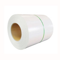 Bobine d'acier galvanisé prélaqué de 0,12 à 0,5 mm, revêtement Z40-Z180, haute résistance à la corrosion, certifié JIS