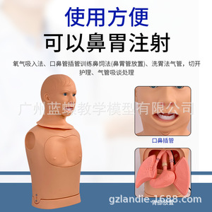 Modèle de soins pour sonde nasogastrique et trachéale ; modèle de sonde nasogastrique ; formation en incision et aspiration ; intubation trachéale ; gastrique - Product Image 1