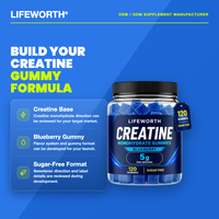LIFEWORTH Gommes à la créatine monohydrate sans sucre à la myrtille 5g par portion 120 bonbons gommeux pour le soutien énergétique et la nutrition sportive 5 G