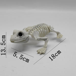 Accesorios de Broma para Halloween - <span class=keywords><strong>Esqueleto</strong></span> de Rana 3D de Plástico Impermeable Accesorios para Exteriores - <span class=keywords><strong>Esqueleto</strong></span> de Animal para Bromas y Diversión - Product Image 1