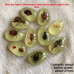 Pendentif spécimen d'insecte véritable ambre phosphorescent boîte aveugle archéologique pour enfants accessoires résine insecte ambre dessin animé - Product Image 6