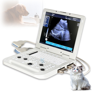 Ecógrafo Portátil para Uso Veterinario y Agrícola, <span class=keywords><strong>Precio</strong></span> <span class=keywords><strong>de</strong></span> Máquina <span class=keywords><strong>de</strong></span> Ultrasonido - Product Image 1