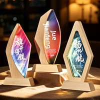 Trophée en cristal lumineux personnalisable avec base en bois de hêtre pour événements de remise de prix, champions, employés exceptionnels, récompenses sportives annuelles