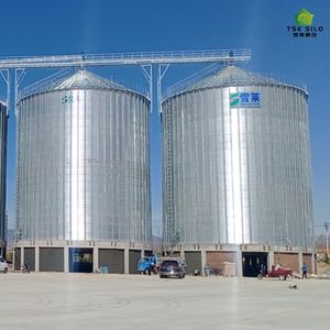ODM silo TCK 6050T silo เหล็กเส้นก้นแบนสำหรับฟาร์ม<span class=keywords><strong>ห</strong></span>มู1000-15000ตันรับ ISO9001ได้รับการรับรอง CE - Product Image 3