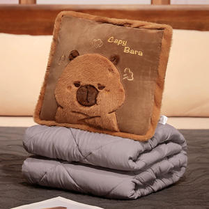 2025热销卡皮巴拉空调带毯二合一手提包两用午休空调 - Product Image 5