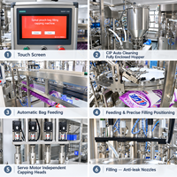 Machine de remplissage automatique de jus pour usine de boissons avec contrôle PLC, machine de remplissage de sachets à bec verseur de haute précision