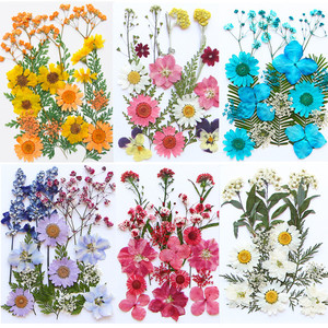 Dried <strong>Flower</strong> Embossing Wholesale Internet Celebrity Face Decoration Fairy Makeup Bridal Makeup Girl Photo Diy Real <strong>Flower</strong> <strong>Press</strong> - Product Image 6