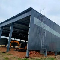 0,5mm PPGL PPGI Verzinkte Stahlblech-Dachplatten Verzinkte Wellblech-ZINK-Dachpaneele