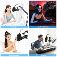 PULUZ USB Studio Recording Singing Broadcast Scissor Arm Shock Mount Podcast Audio Microphone Set avec carte son