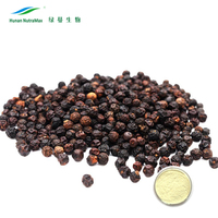 Functioneel voedingsplantenextract in bulk, zwarte peper extract poeder 95% 98% Piperine extract