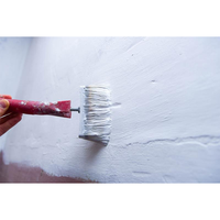 Jady – peinture inodore et résistante aux alcalis, meilleure peinture pour le mur et le plafond de ciment de la maison