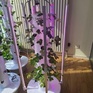 نظام زراعة مائية عمودي للفراولة، برج زراعي داخلي وخارجي - Product Image 4