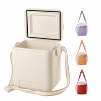 Glacière isotherme 10L de haute qualité en plastique rigide pour le stockage alimentaire, idéale pour les voyages en voiture, la plage, ou comme cadeau promotionnel