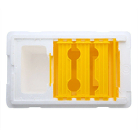 18 piezas al por mayor EPS espuma abeja caja de plástico para crear abeja Mini caja de apareamiento
