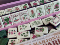 Expédition immédiate, prix de gros : Ensemble de Mahjong américain sur le thème de la forêt tropicale, avec sac en velours, cartes de jeu, manuel et supports pour tuiles