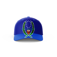 Casquette de baseball avec drapeau du Nigeria pour hommes et femmes, design réglable, idéale pour la randonnée, les voyages, la marche, le camping et les activités de plein air