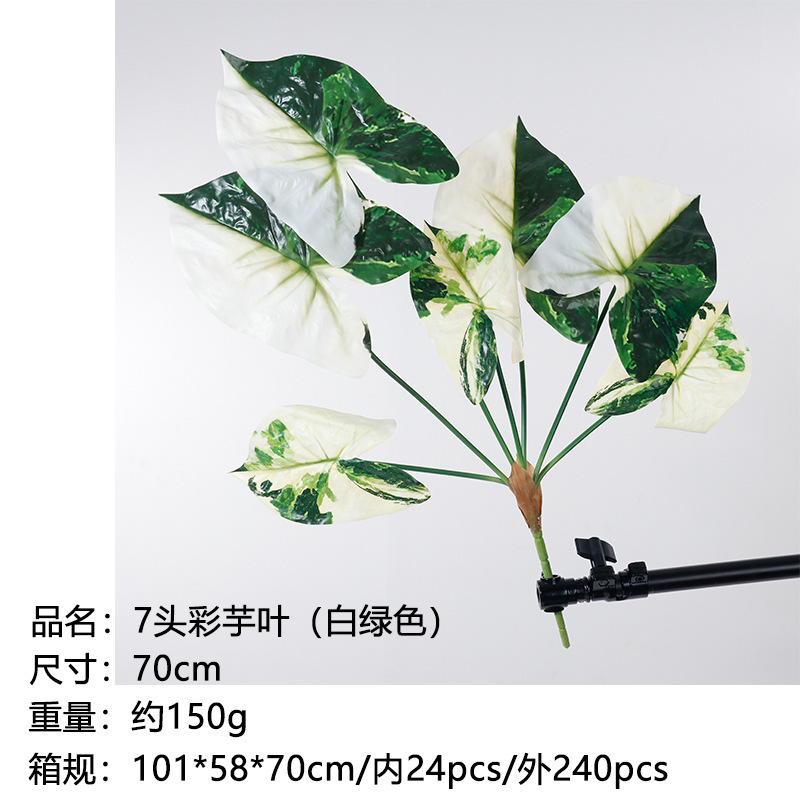 7 têtes de feuilles de taro (blanc-vert) - 70cm