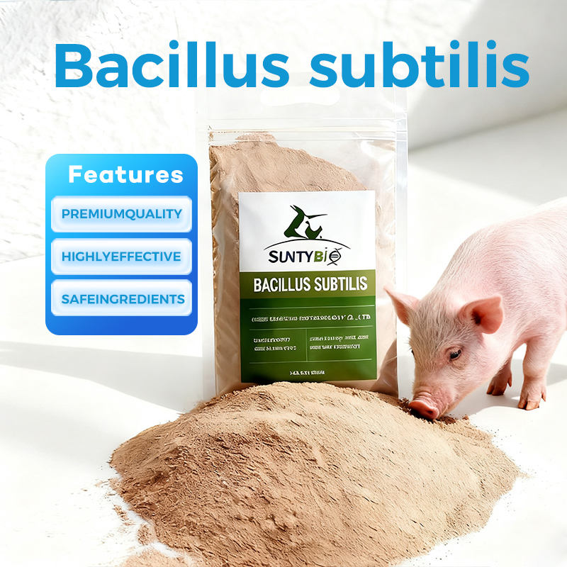 Pig Additives Pig Feed Additive Bacillus Subtilis Probiotics with High Concentration ...