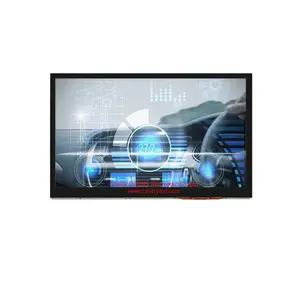 10.1inch Liquid Crystal Display 500 brightness 1024*600 IPS display screen for Vehicle Navigation/DVD Player