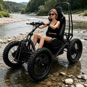 Scooter électrique 4 roues motrices haute performance, moteur 5000W, batterie 60V 50Ah, pneus de 20 pouces pour l'aventure en plein air - Product Image 1