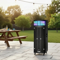 Altavoz con Ruedas BA-X2155 Dual de 15 Pulgadas, Radio FM Multifunción, Luces LED RGB, Micrófonos Dobles, Venta al por Mayor de Fábrica, Logotipo Personalizado, Entrega Rápida en 7 Días