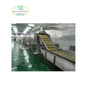Línea de Producción Automática de Mariscos y Helados de <span class=keywords><strong>Alta</strong></span> Tasa de Recompra, Capacidad de 500-3000 kg/h, Fabricada en Zhejiang, Conjunto Completo - Product Image 1