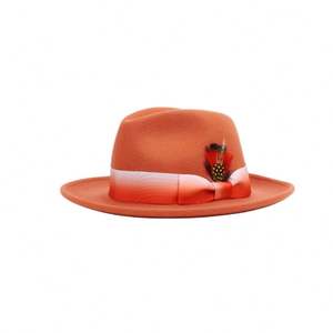 CL922201 Chapeau haut de forme unisexe en feutre 100 % laine, style mode, neuf, de marque CD, avec plumes de luxe, toutes saisons - Product Image 1