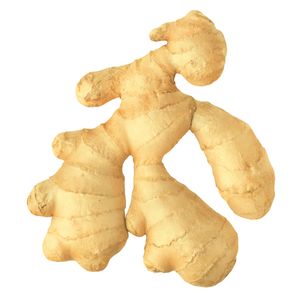 Los exportadores de jengibre natural pueden obtener 1kg de jengibre fresco y ajo de alta calidad de Vietnam a precios competitivos con nosotros. - Product Image 5