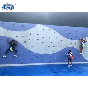 Ngoài trời nhựa Rock Leo Tường Panels cho công viên trong nhà & vui chơi giải trí Giáo Dục & mẫu giáo sử dụng - Product Image 5