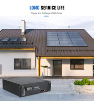 Générateur d'énergie portable à cycle profond Neata avec boîtier rigide, batterie au lithium LiFePO4 51,2 V 50 Ah LFP pour alimentation UPS