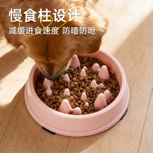 Bol de nourriture pour animaux de compagnie Daoge Dog Slow Feeding Bowl PP anti-renversement anti-étouffement pour chiens et chats avec picots surélevés - Product Image 4